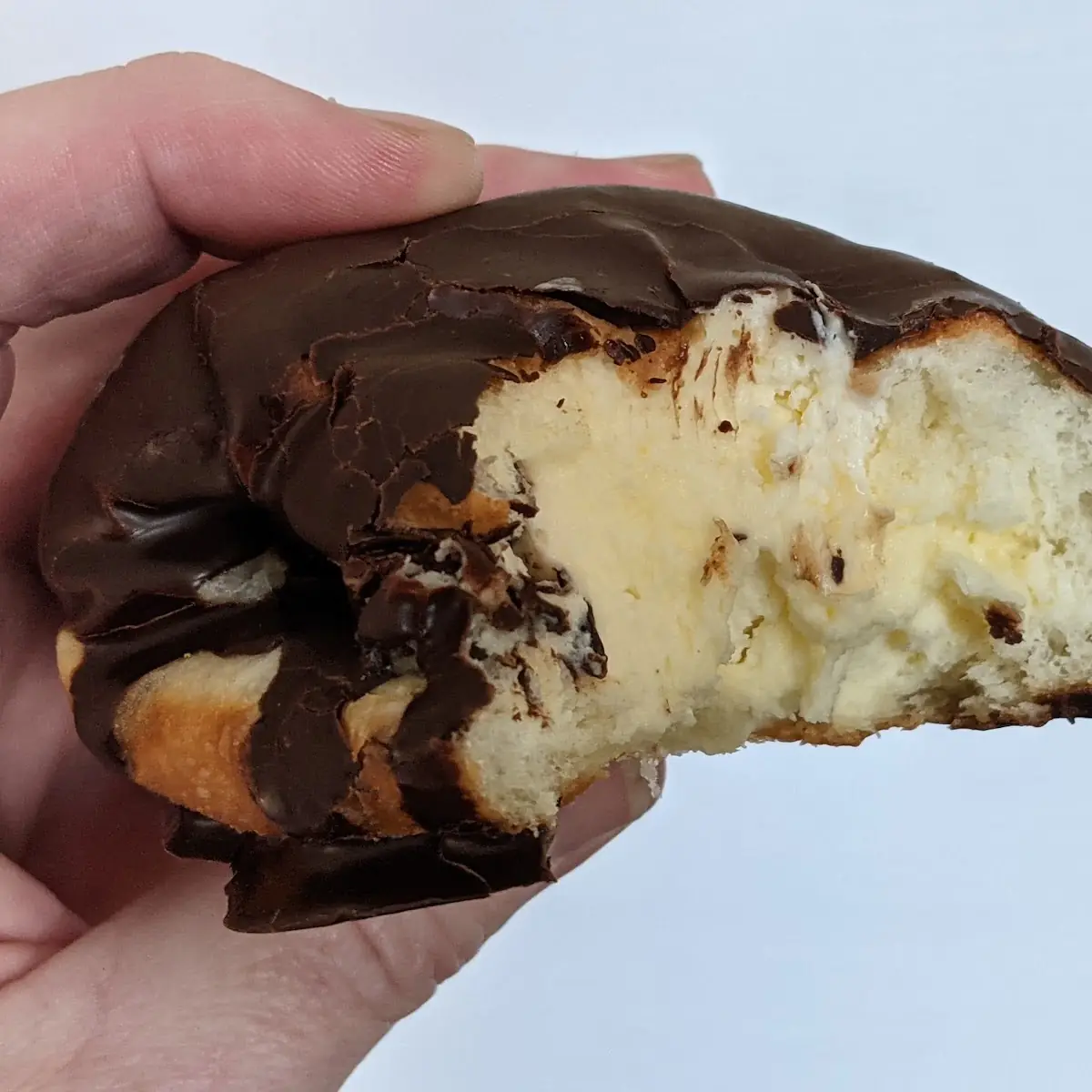 Boston Cream Donut