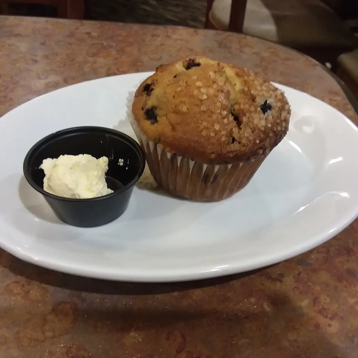 Blueberry Muffin