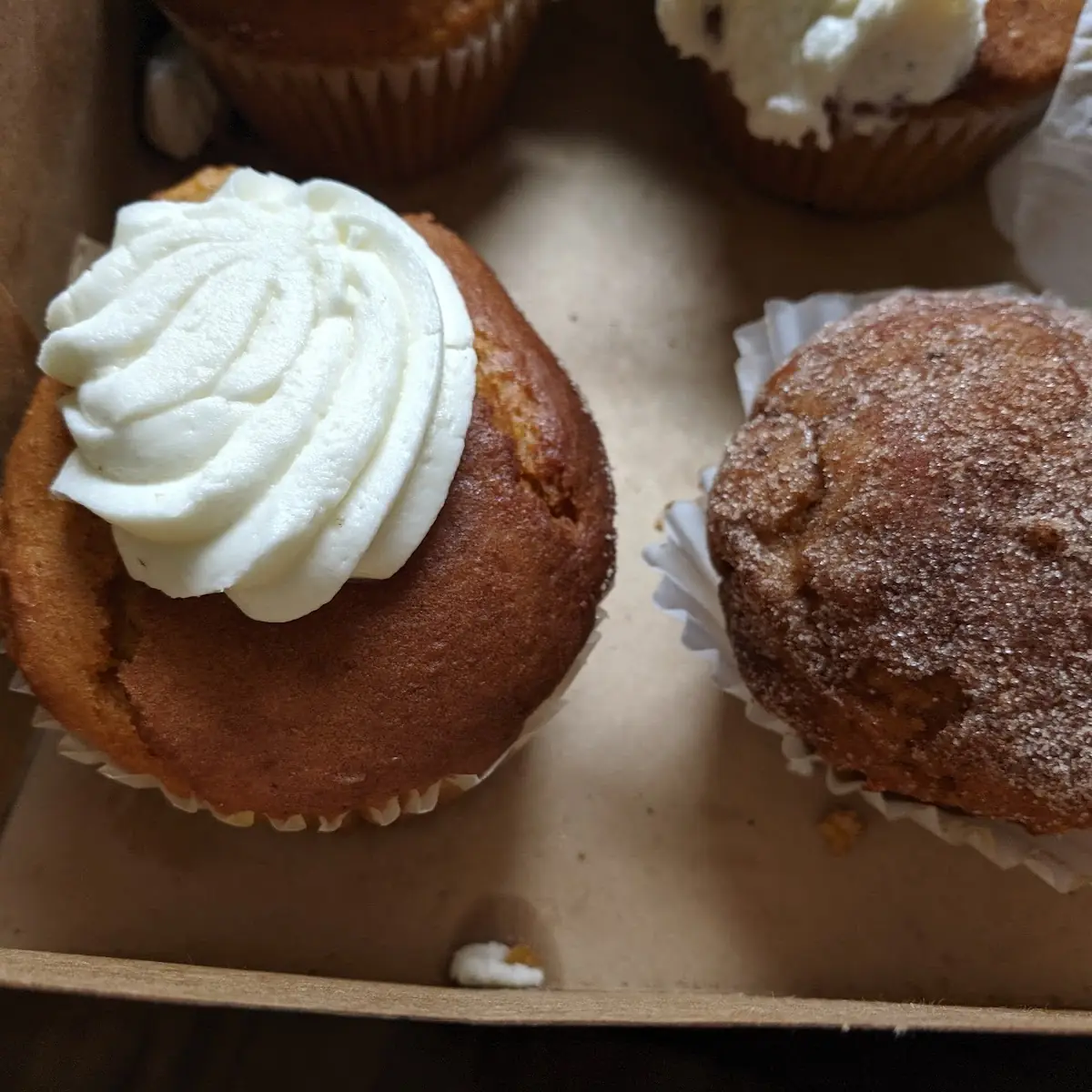 Pumpkin Muffin