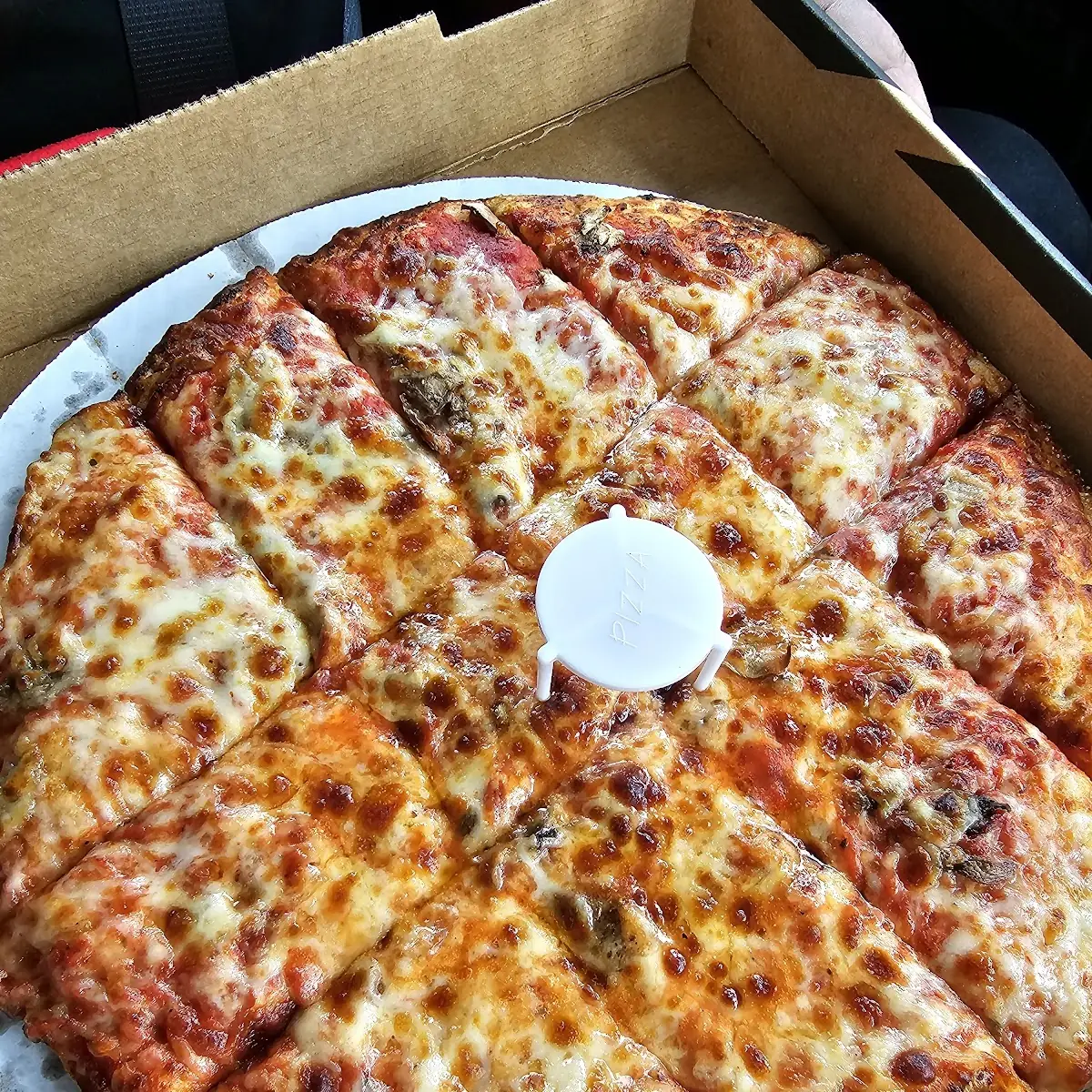 Cheese with Mushroom Pizza