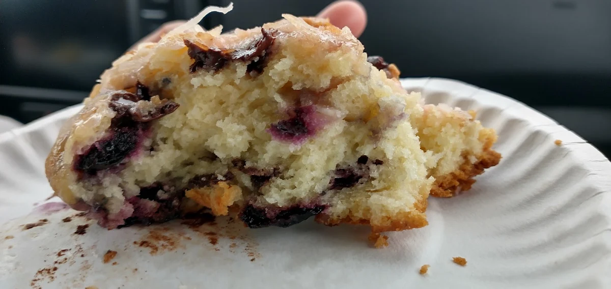Blueberry Muffin