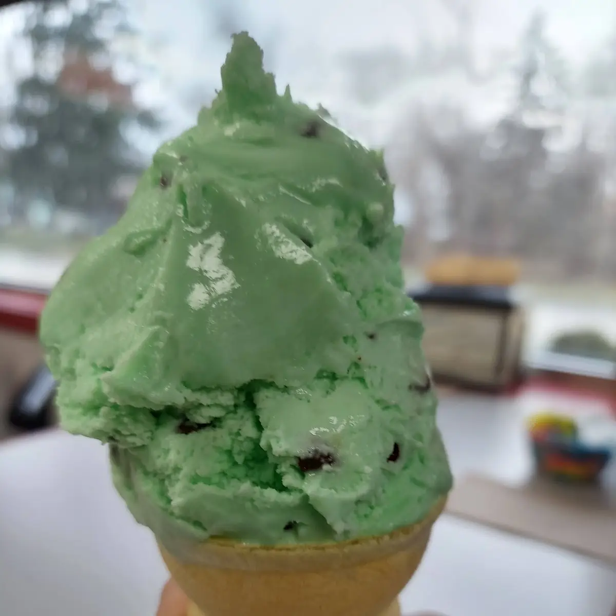 Mint Chocolate Chip Hand Dipped Ice Cream Cone