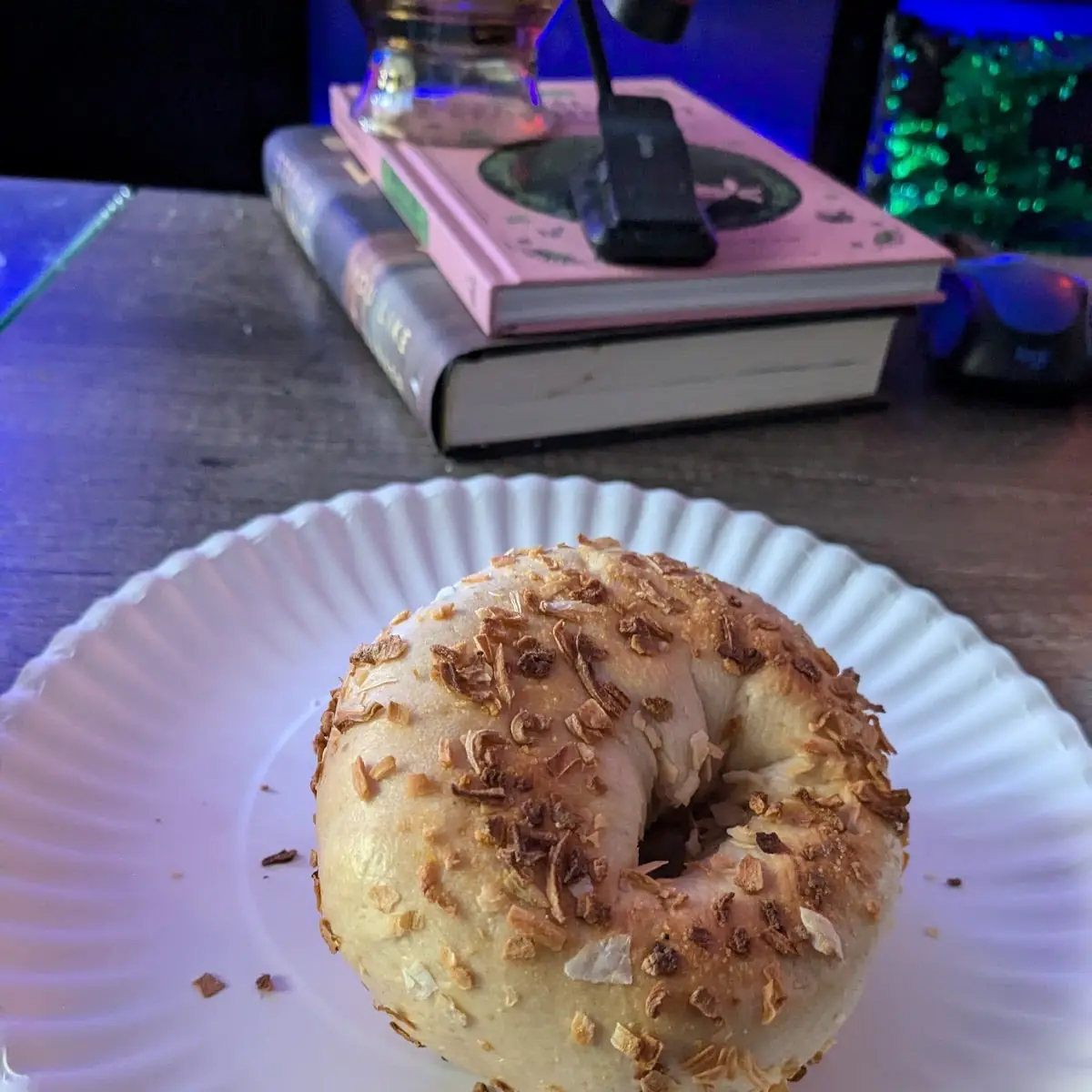 Onion Bagel Plain Bagel