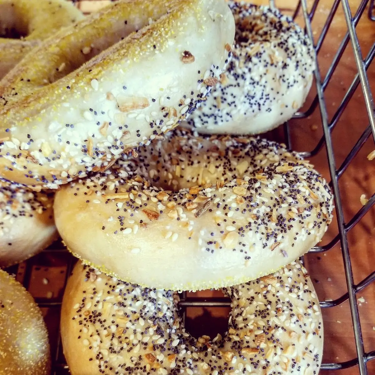Dozen Bagels