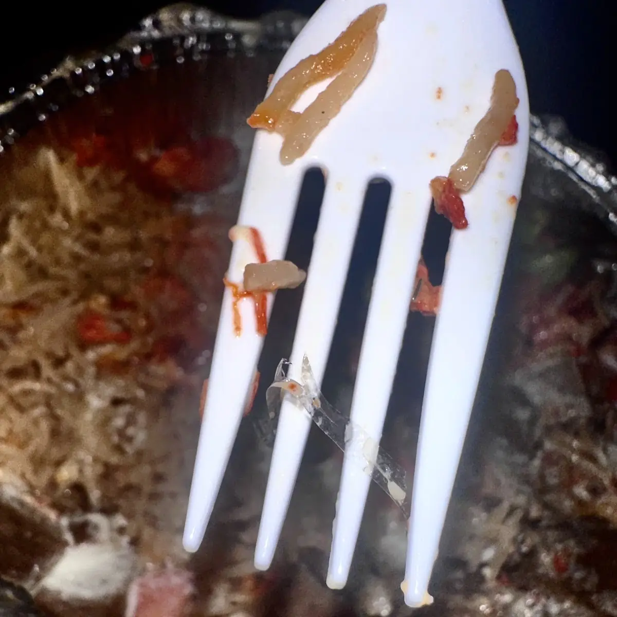 Pulled Pork