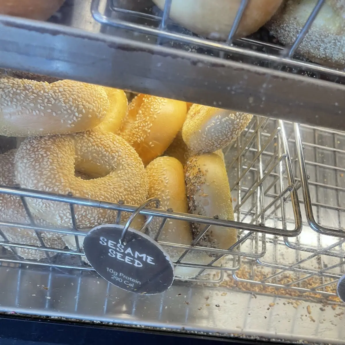 Everything Bagel