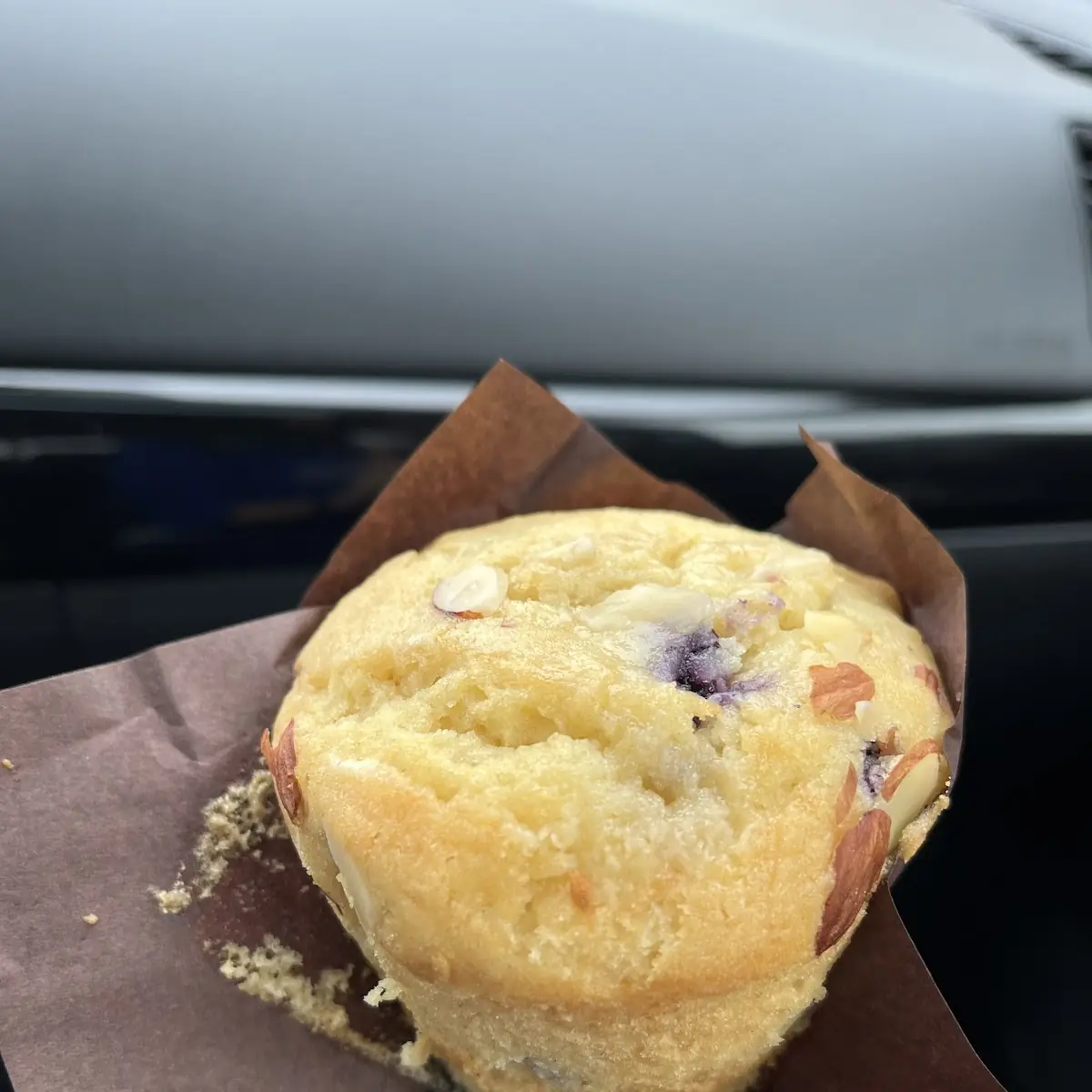 Blueberry Muffin
