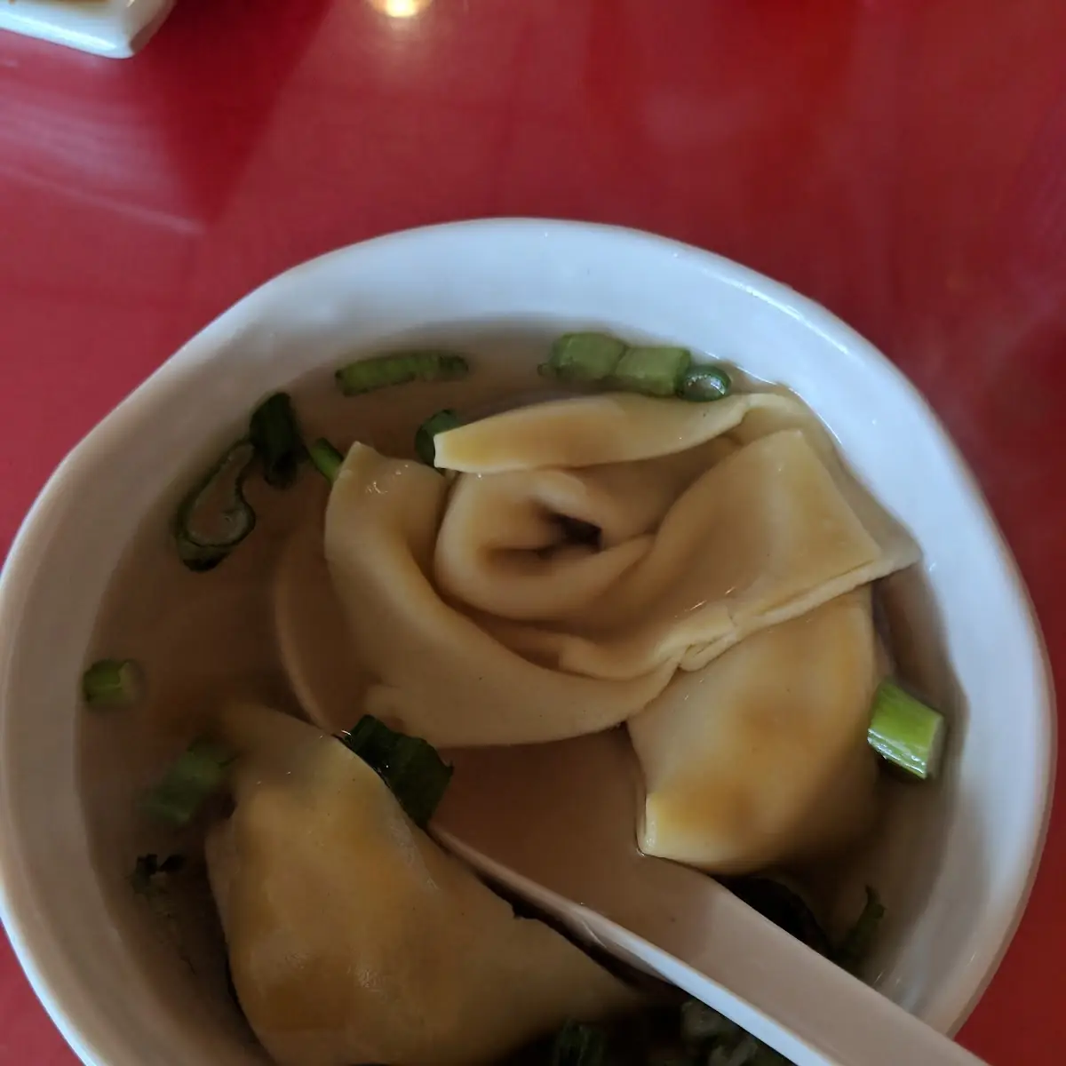 Wonton Soup