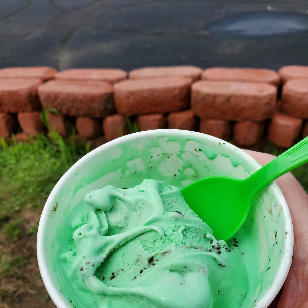 Mint Oreo Ice Cream
