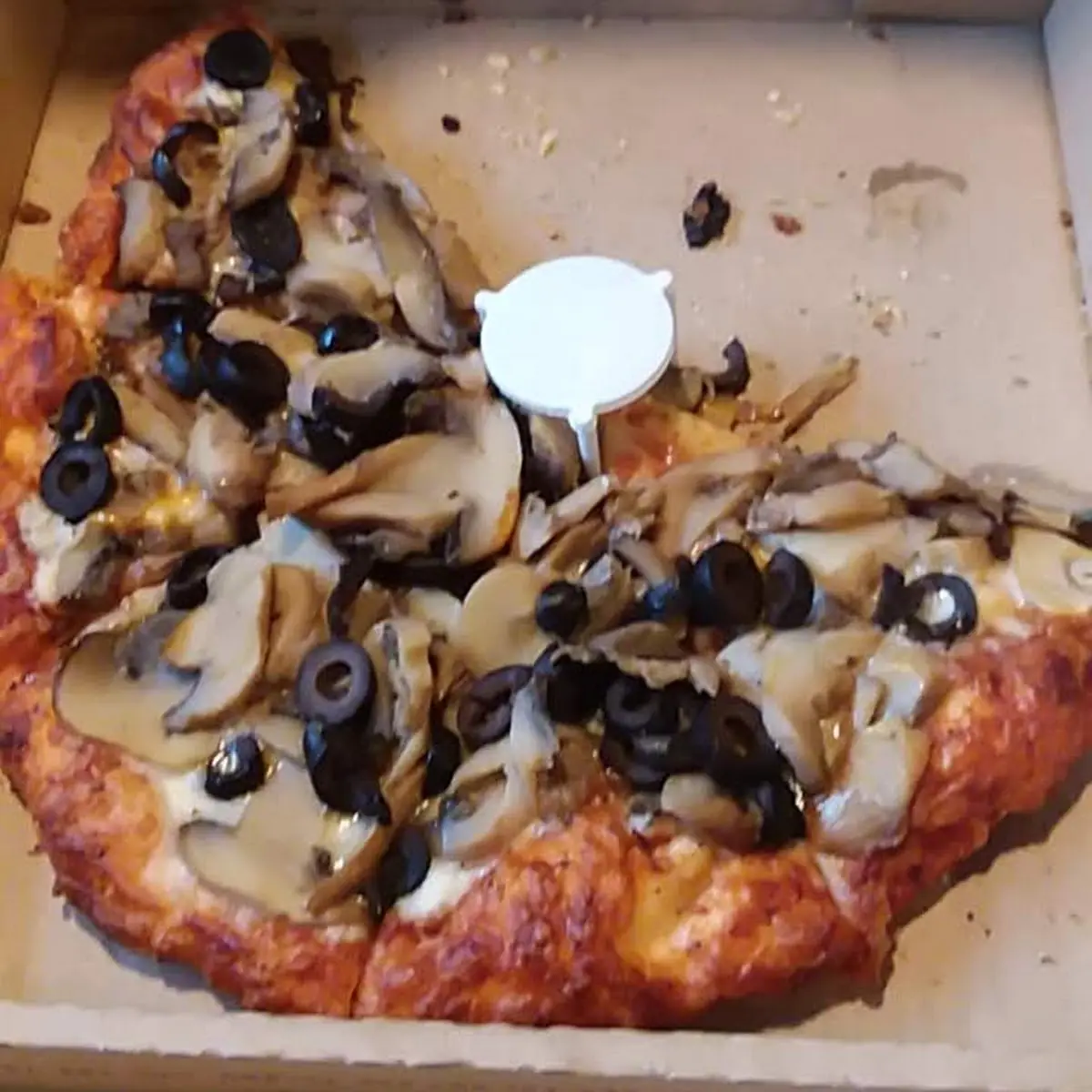 Canned Mushroom & Olive Pizza