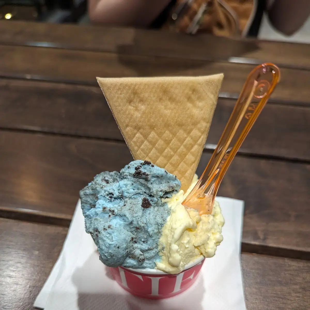 Cookie Monster and Lemon Cookie
