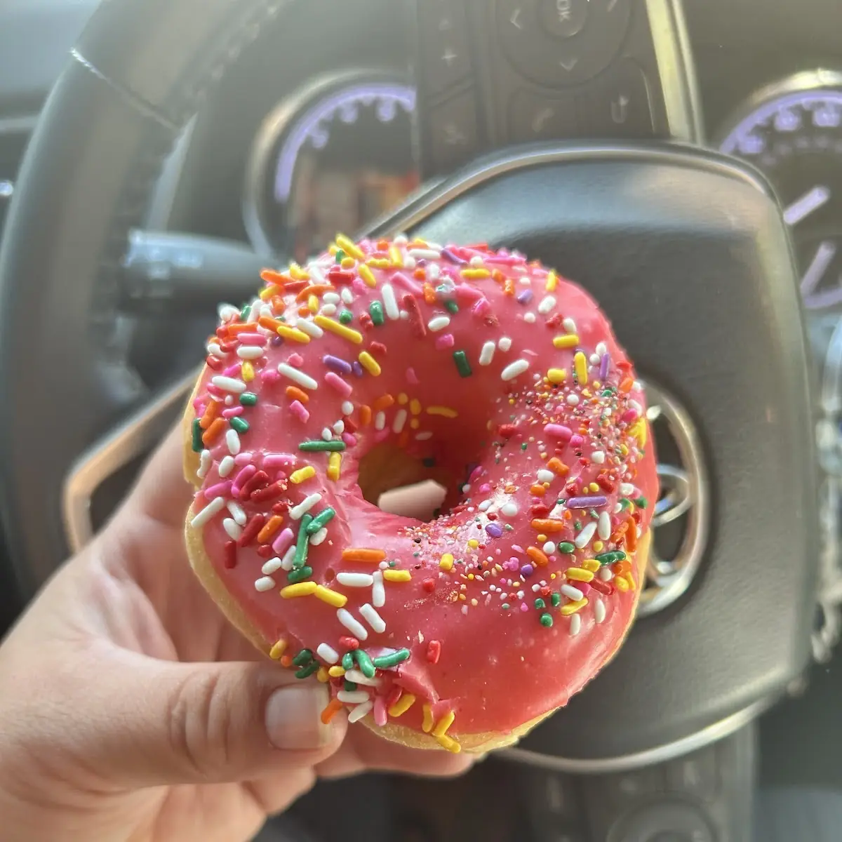 Doughnut