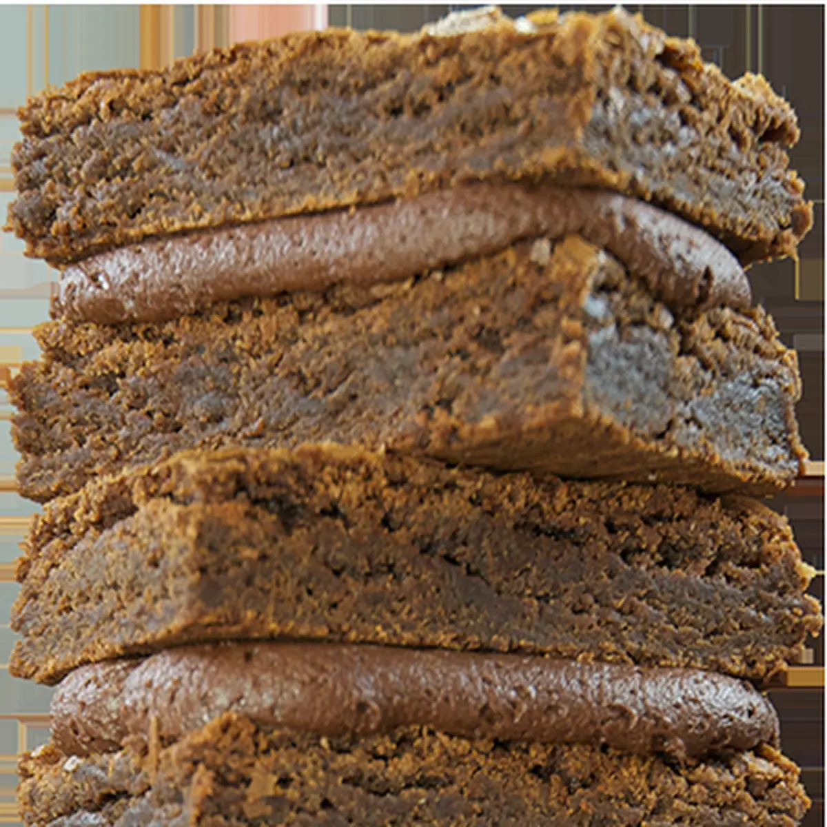 Chocolate Fudge Brownie
