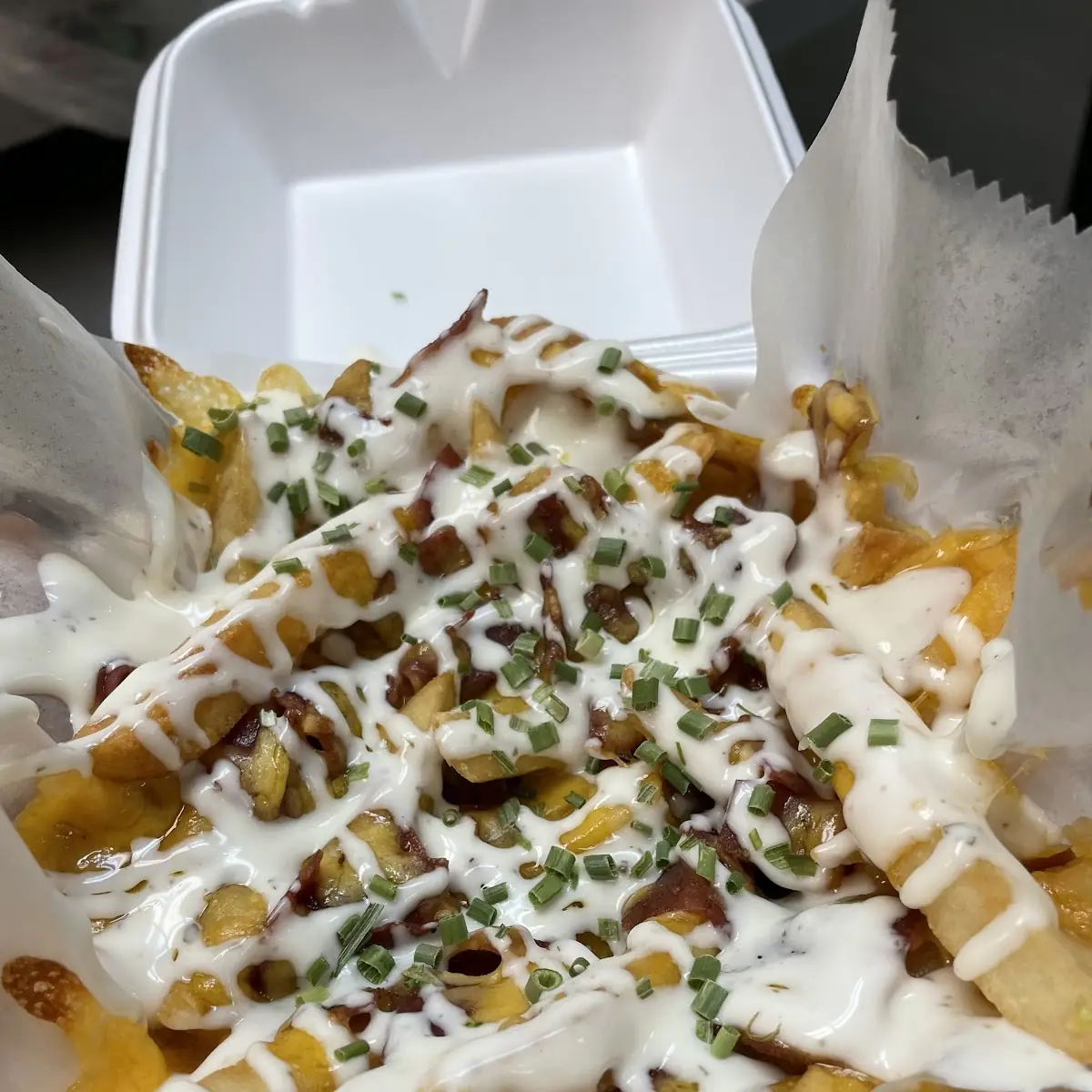 Loaded Fries
