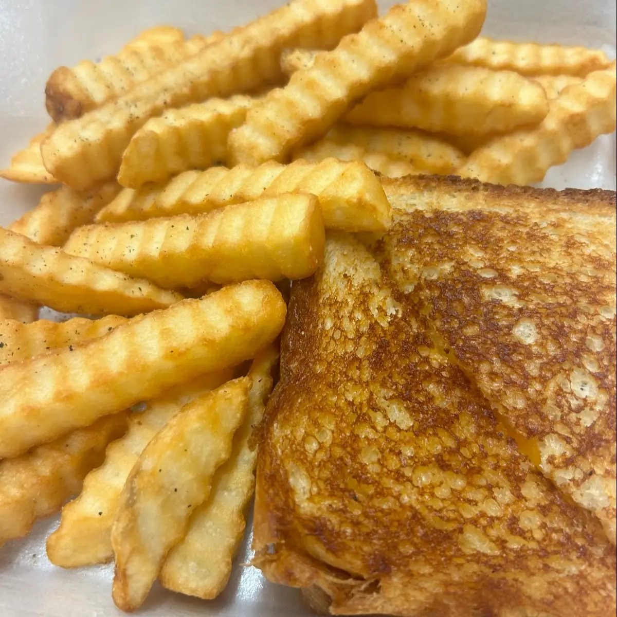 Grilled Cheese and Fries