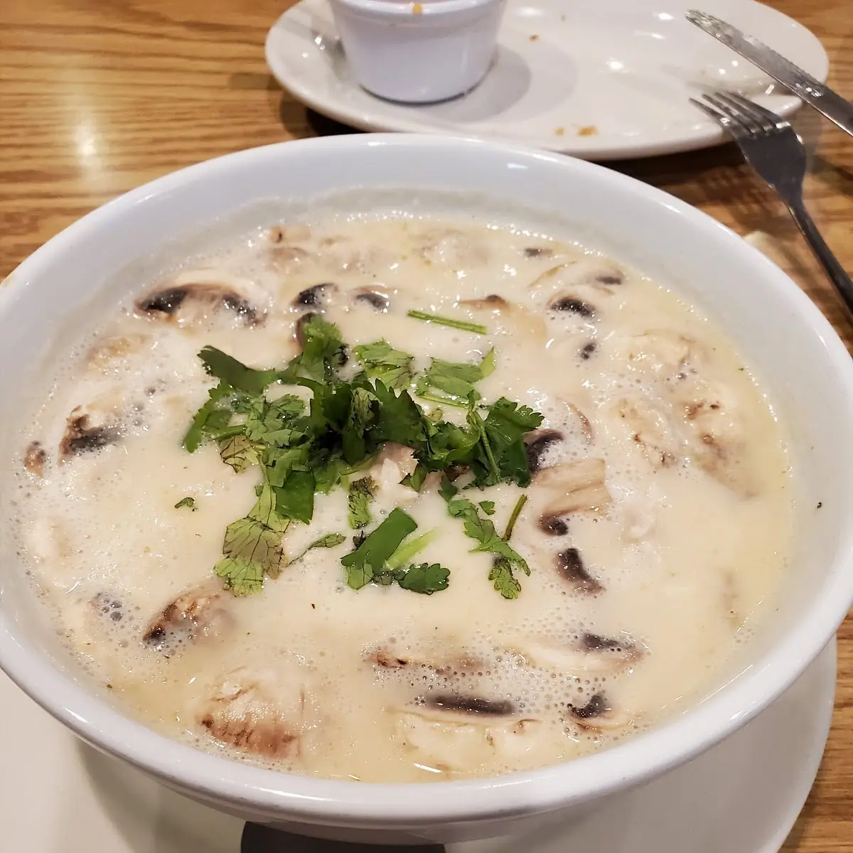 Coconut Chicken Soup
