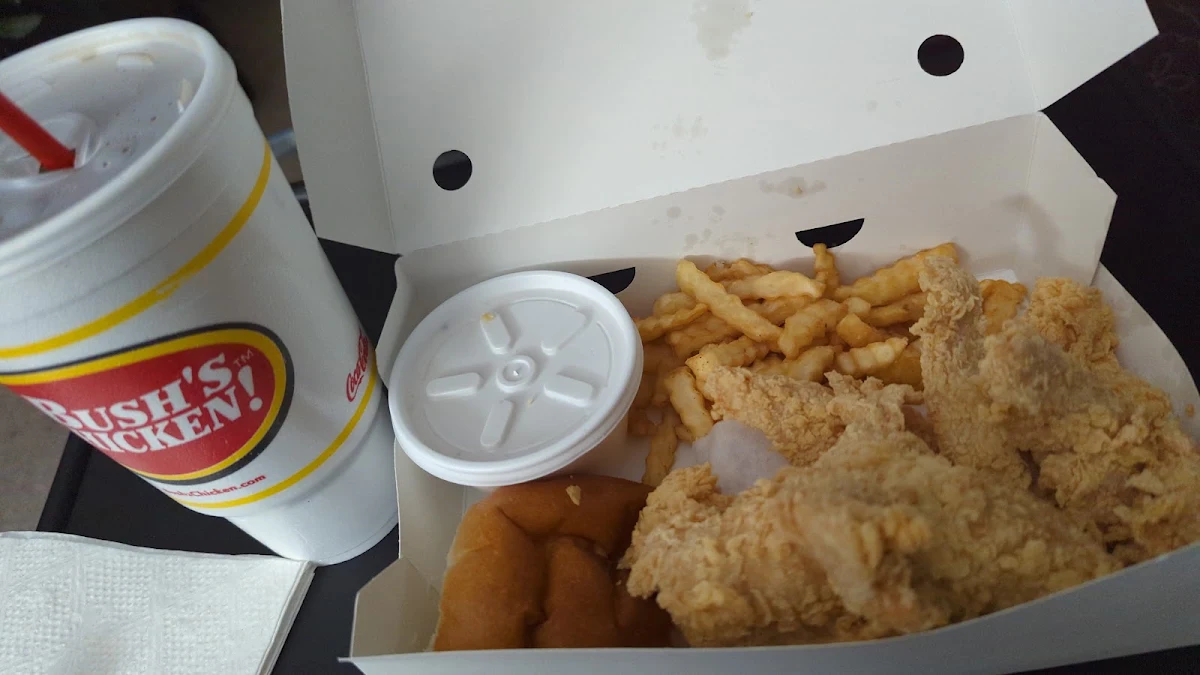6 Piece Tender Meal
