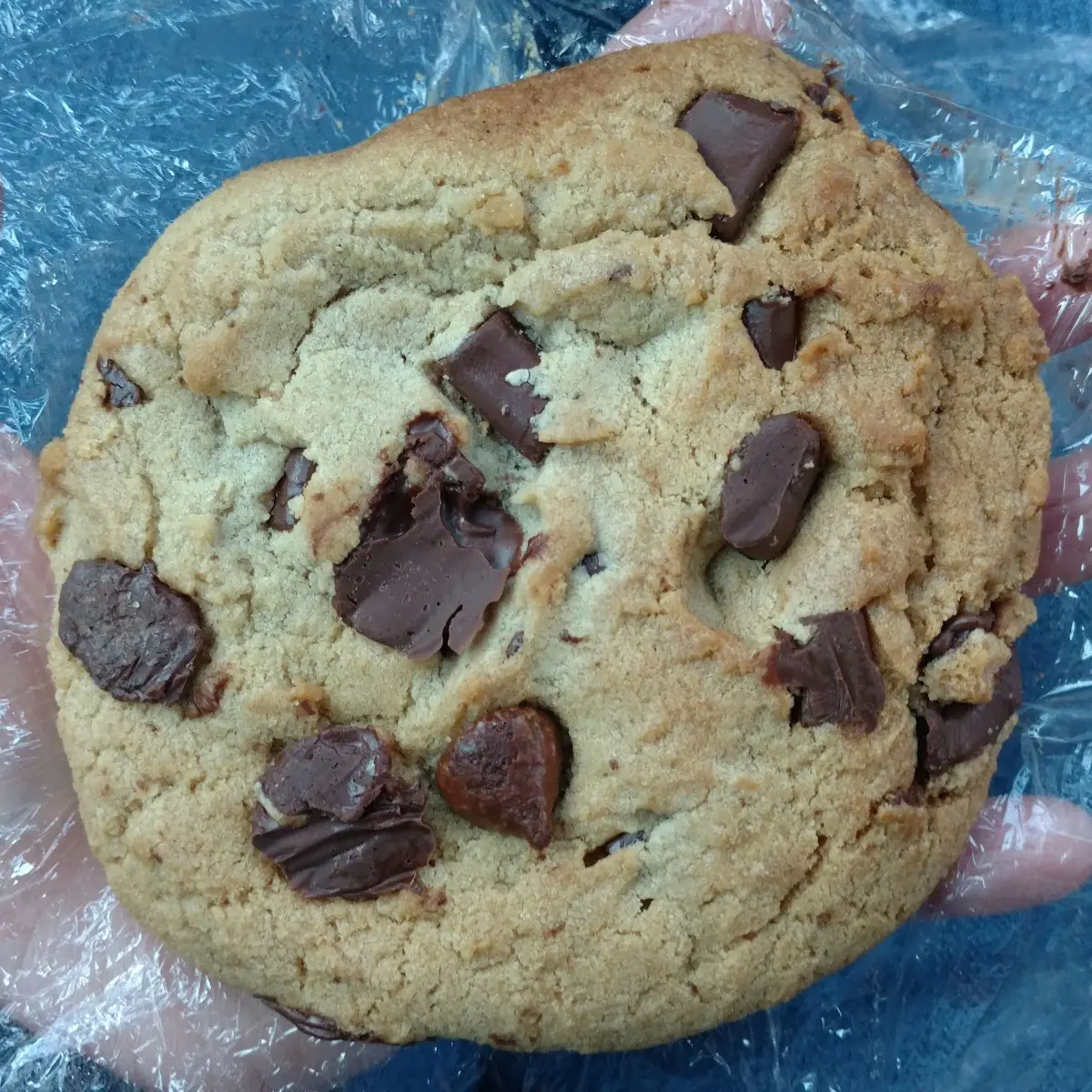 Chocolate Chip Cookie