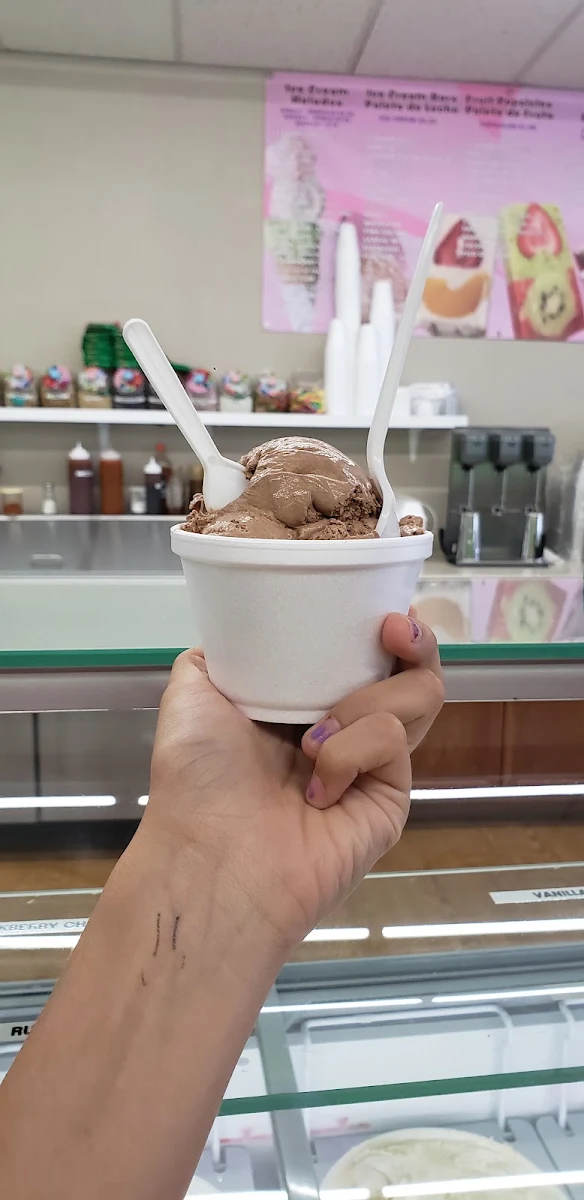 Chocolate Ice Cream