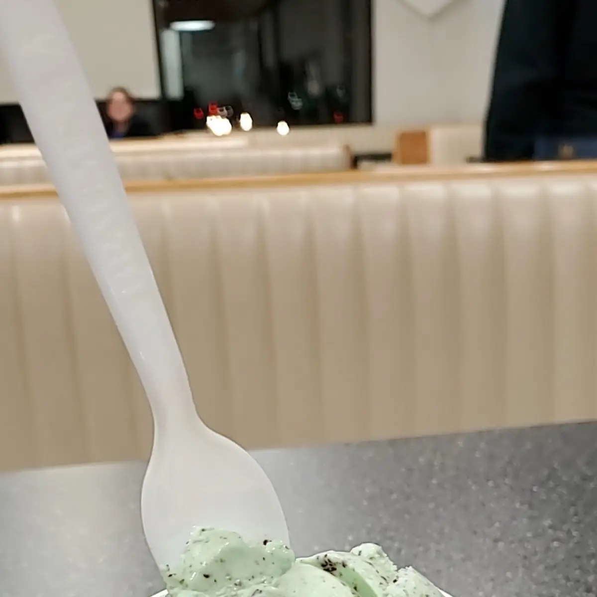 Mint Chocolate Chip