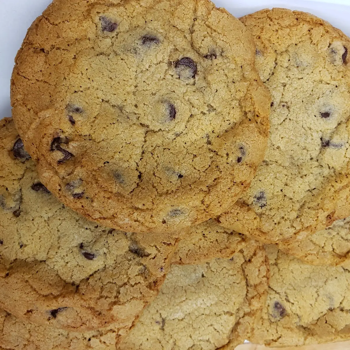 Chocolate Chip Cookie
