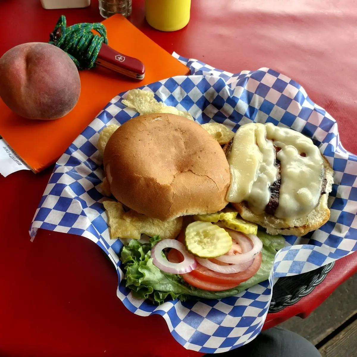 Elk Burger