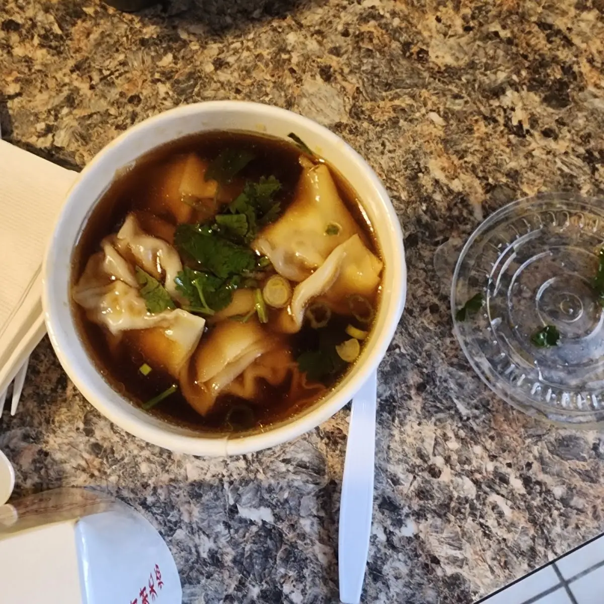 Wonton Soup