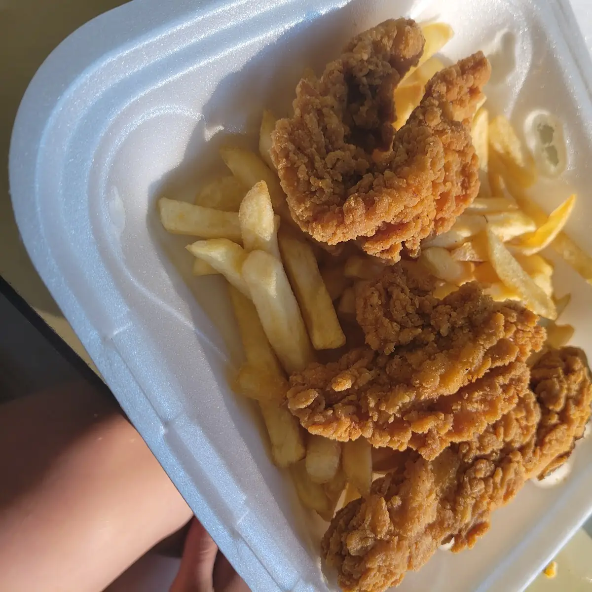 Kids Chicken Tenders