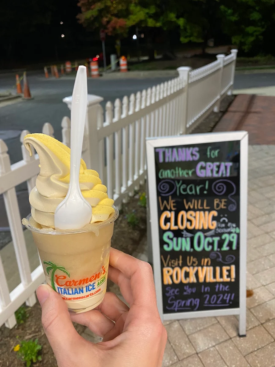 Pumpkin Pie and Coffee Twist Custard