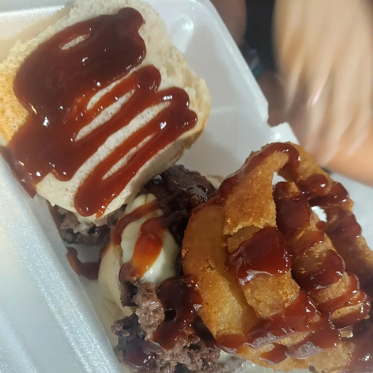Double pulled pork burger w/fries