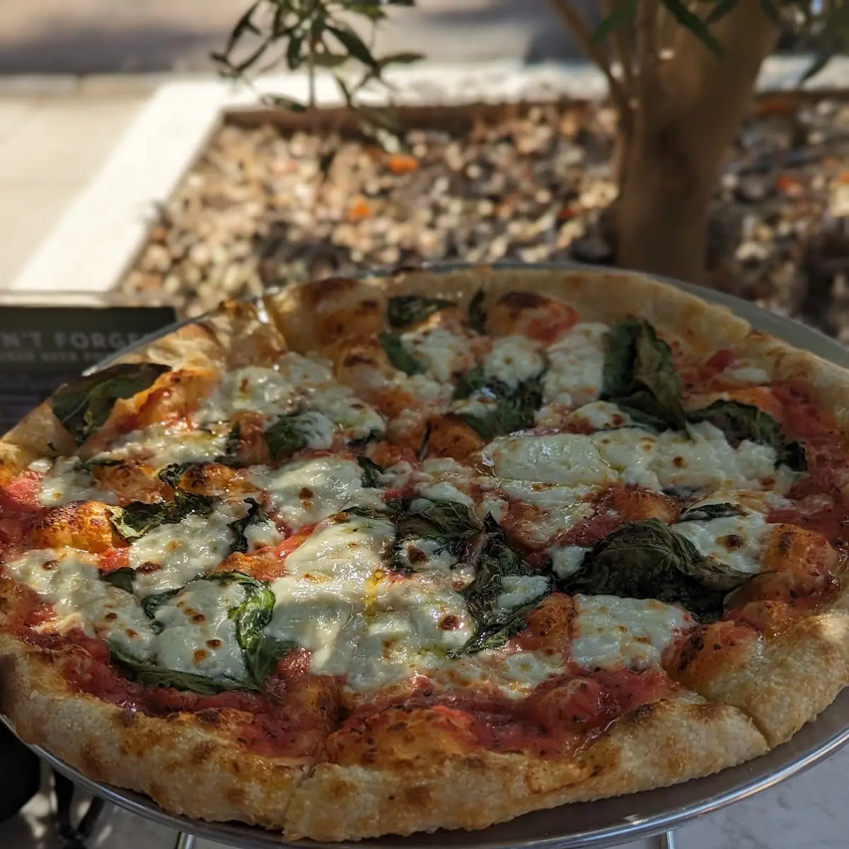 Margherita Pizza