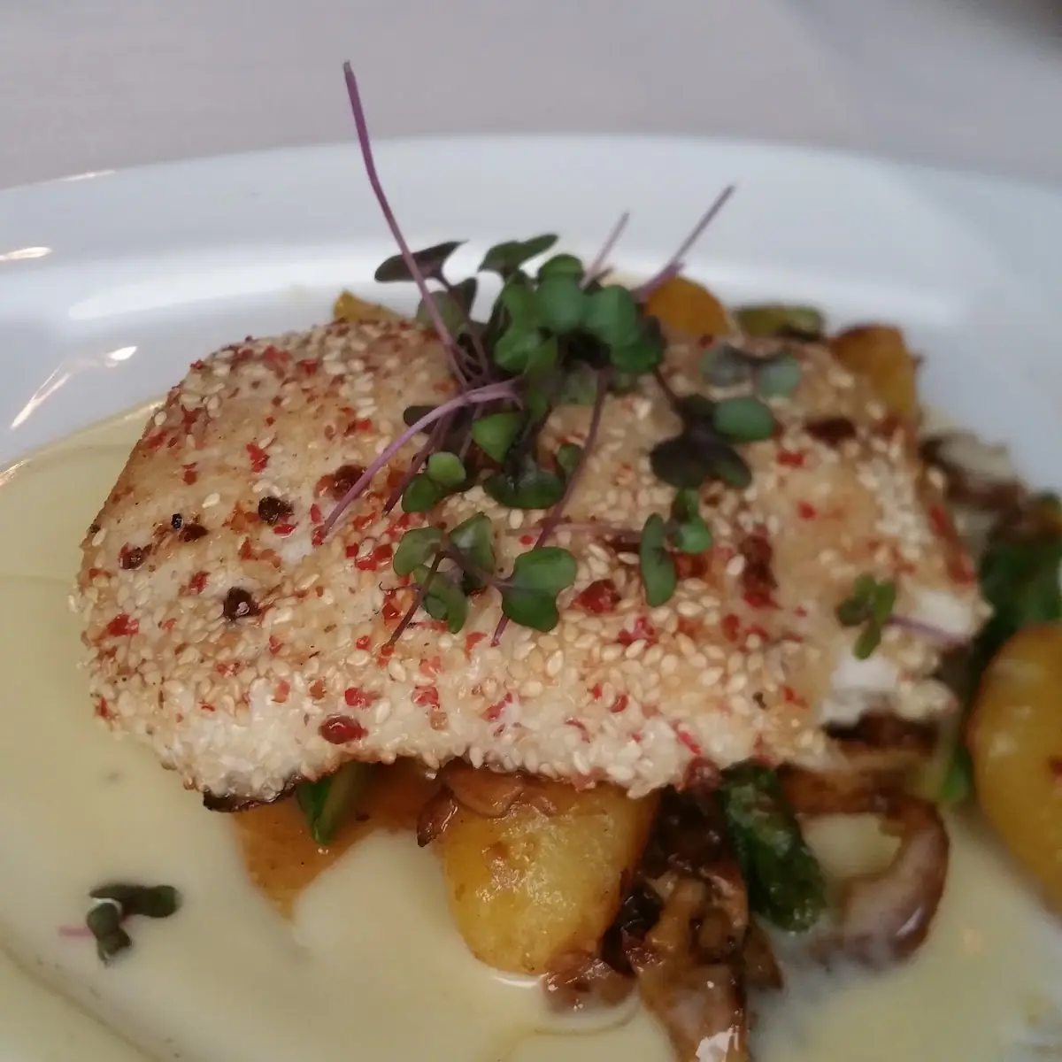 Macadamia Nut Crusted Grouper