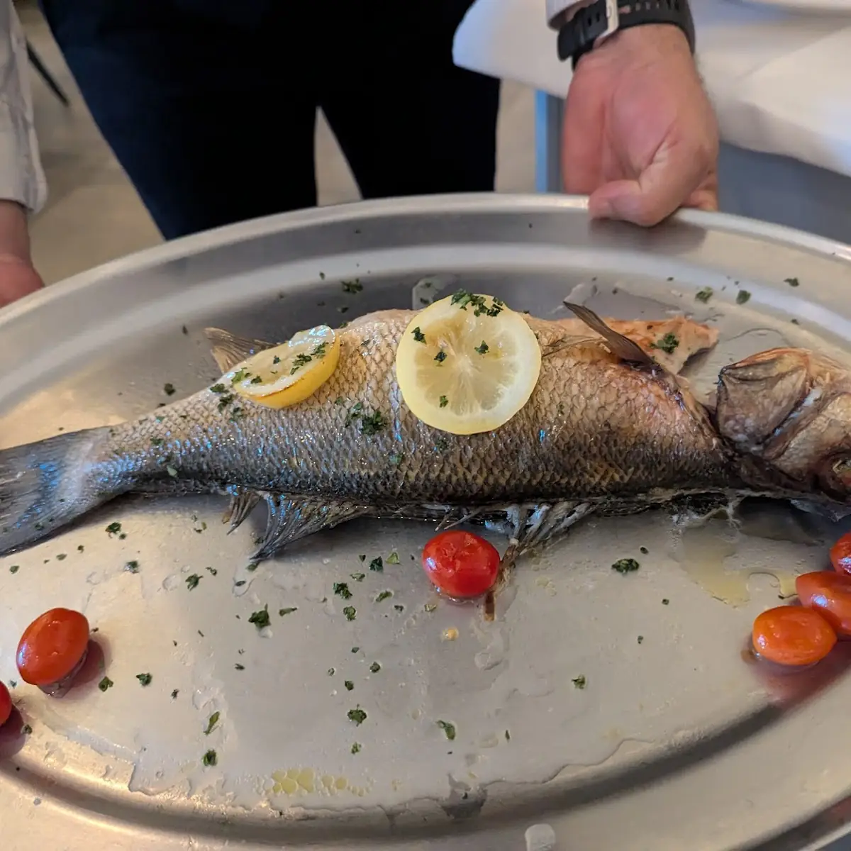 Sea Bass