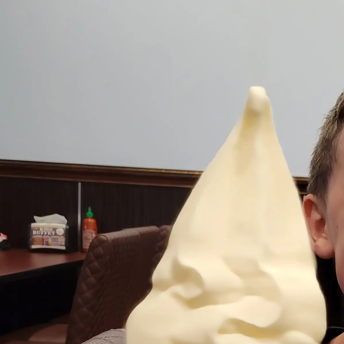 Vanilla Soft Serve Ice Cream