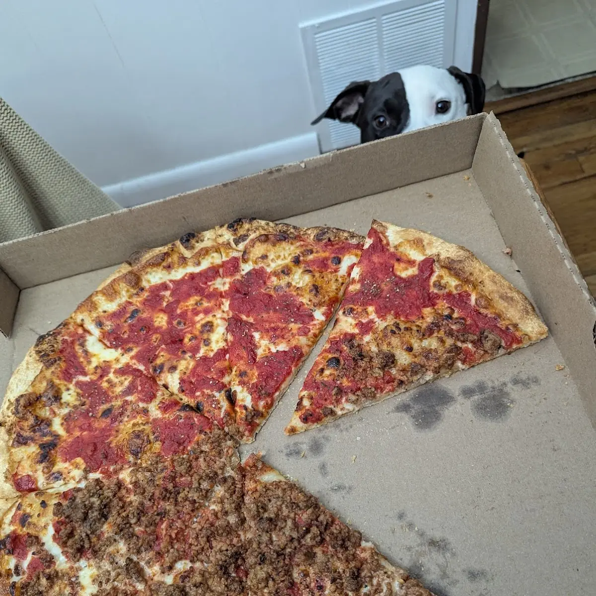 Meat Pizza