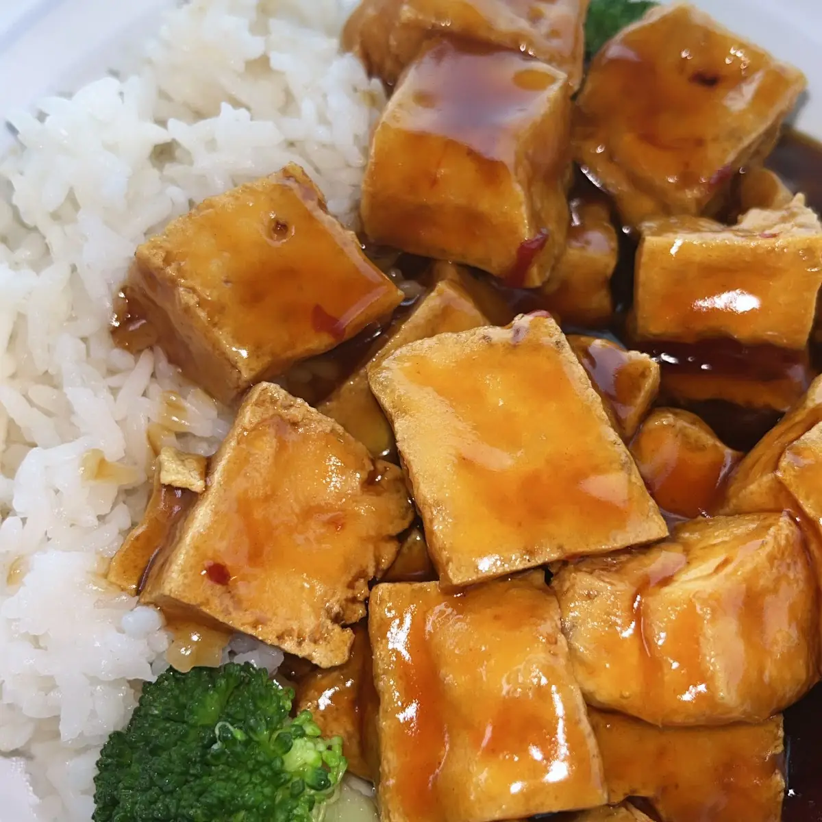 Bean Curd Home Style