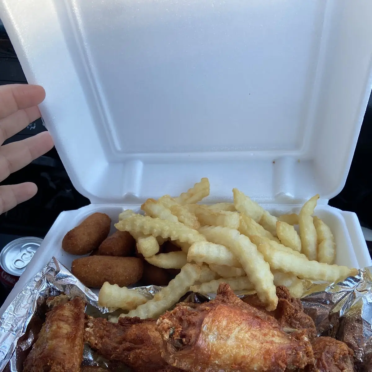 Hot Wings and Fries