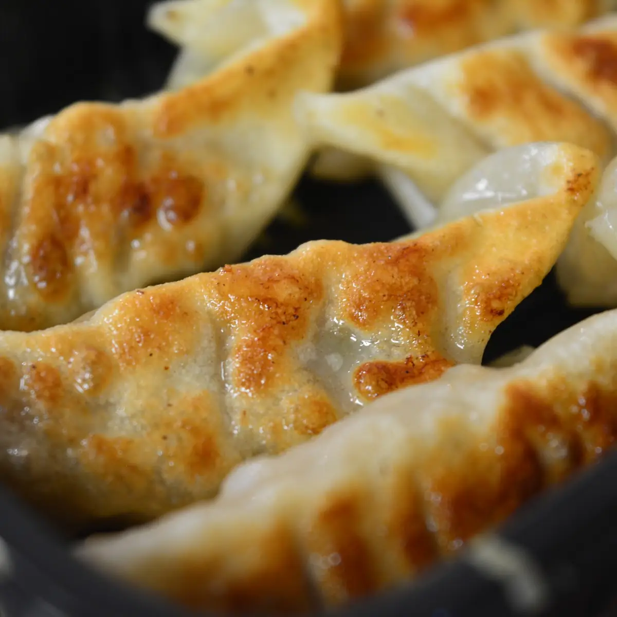 Pork Gyoza