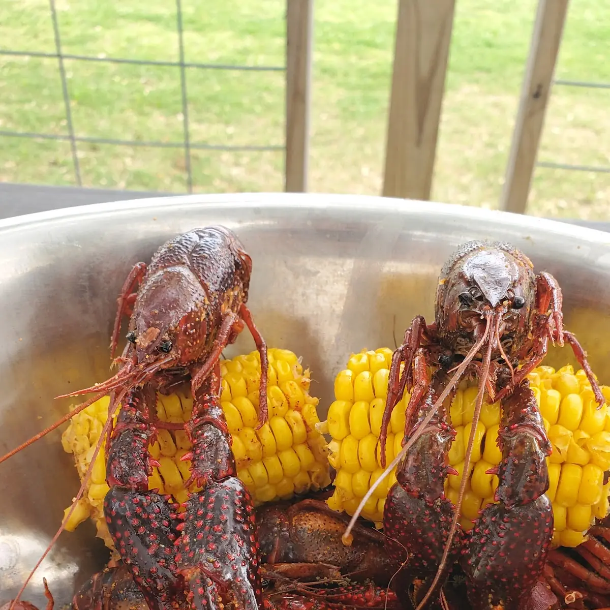 Boiled Crawfish Fire Spice Flavor