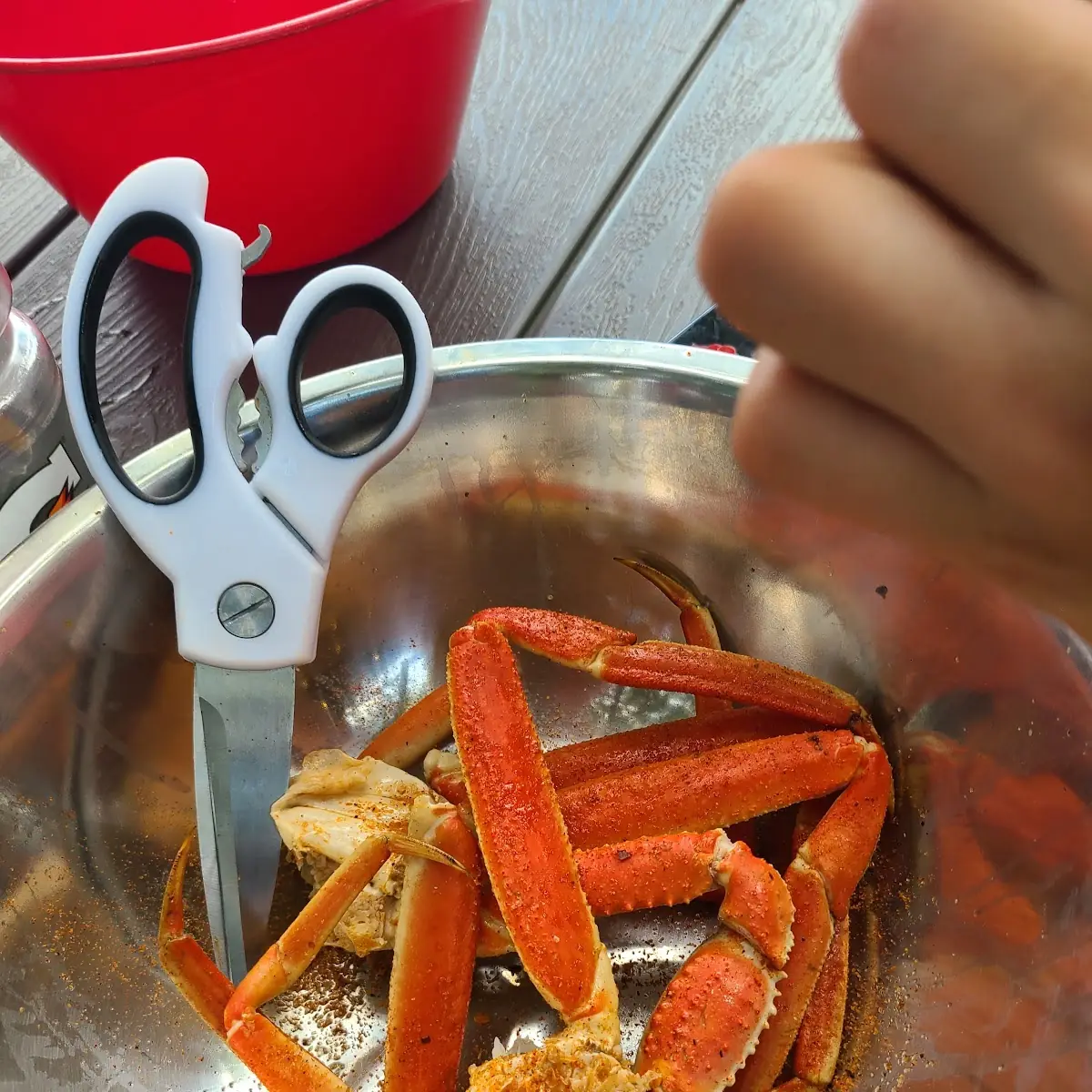 Snow Crab