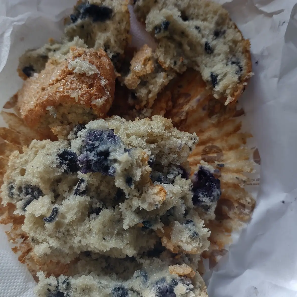 Blueberry Muffin
