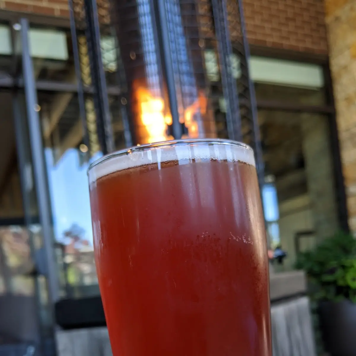 Gig Harbor Brewing Blood Orange Blonde