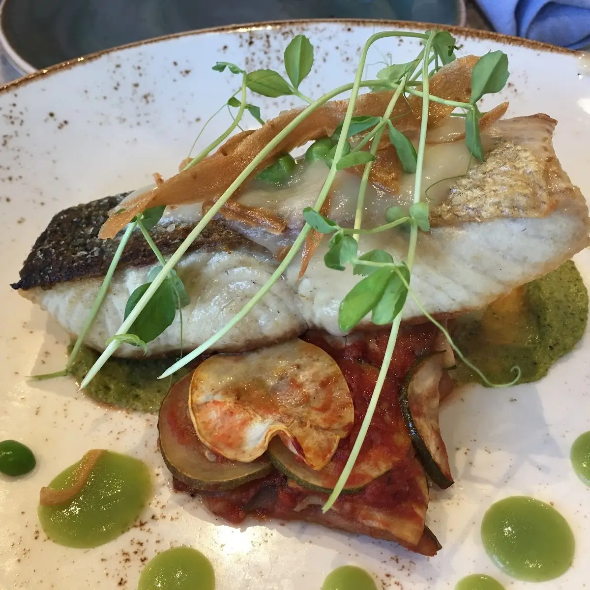 Sea Bass