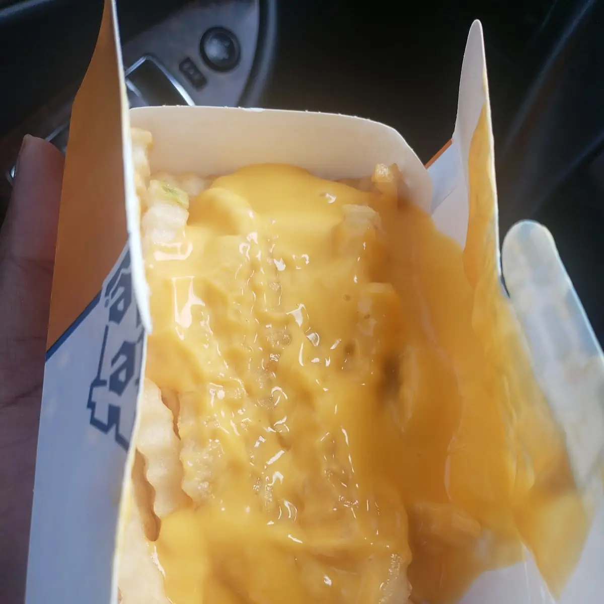 Cheese Fries