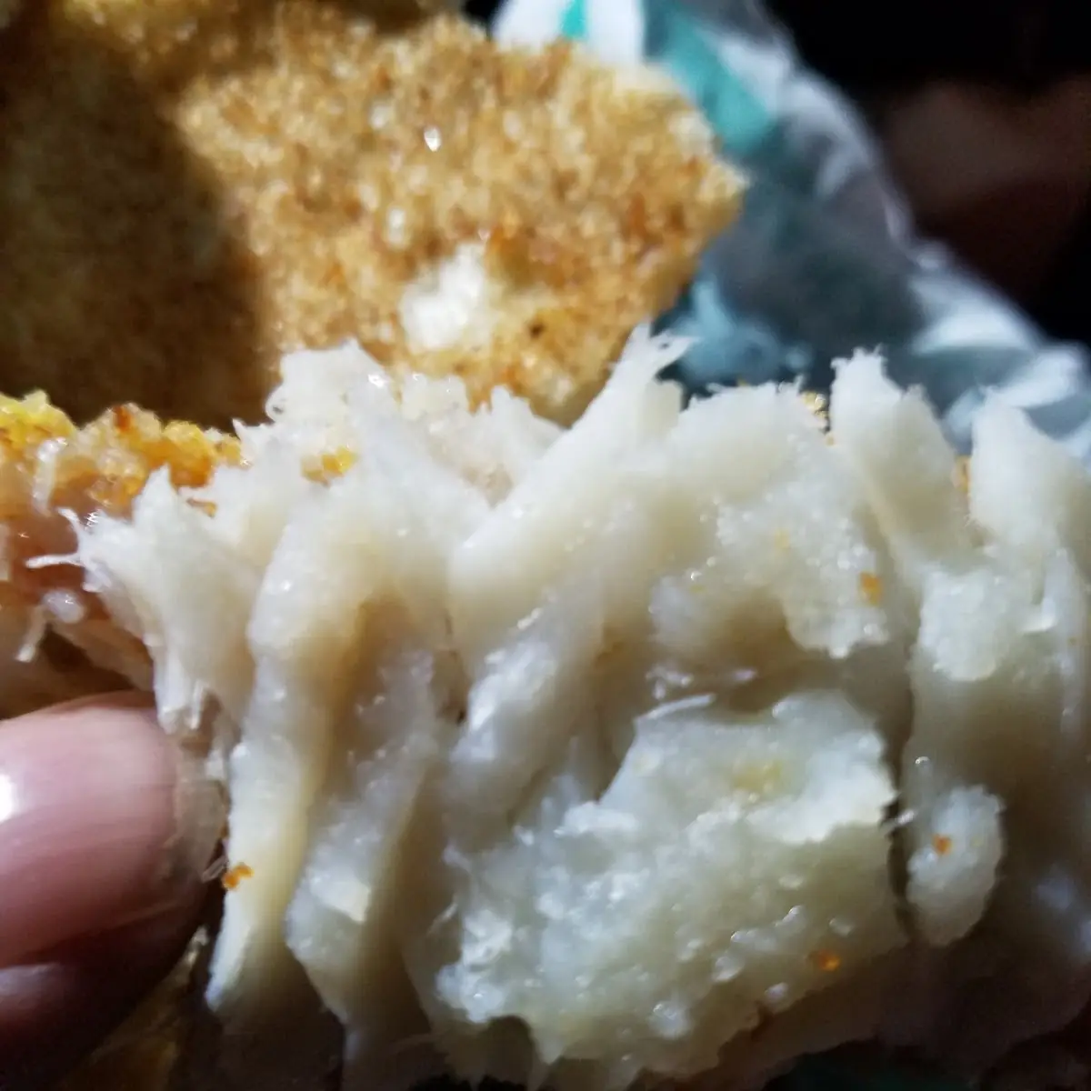 Double Fish Sandwich Delicish