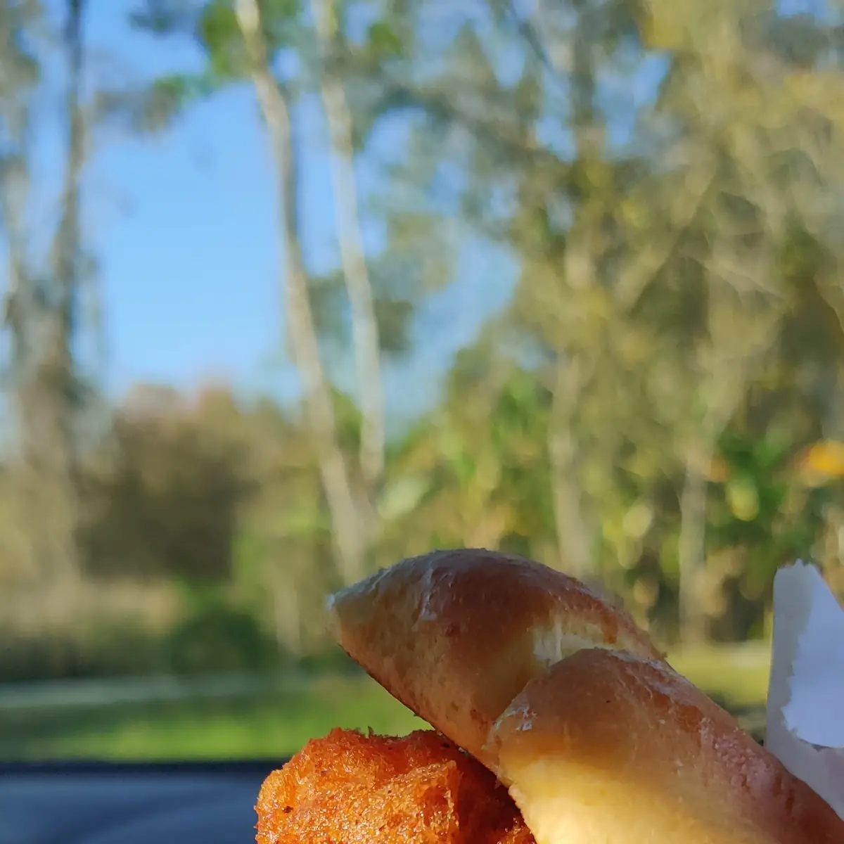 Fish Sandwich