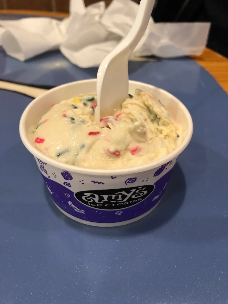 Mexican Vanilla Ice Cream with Rainbow Sprinkles