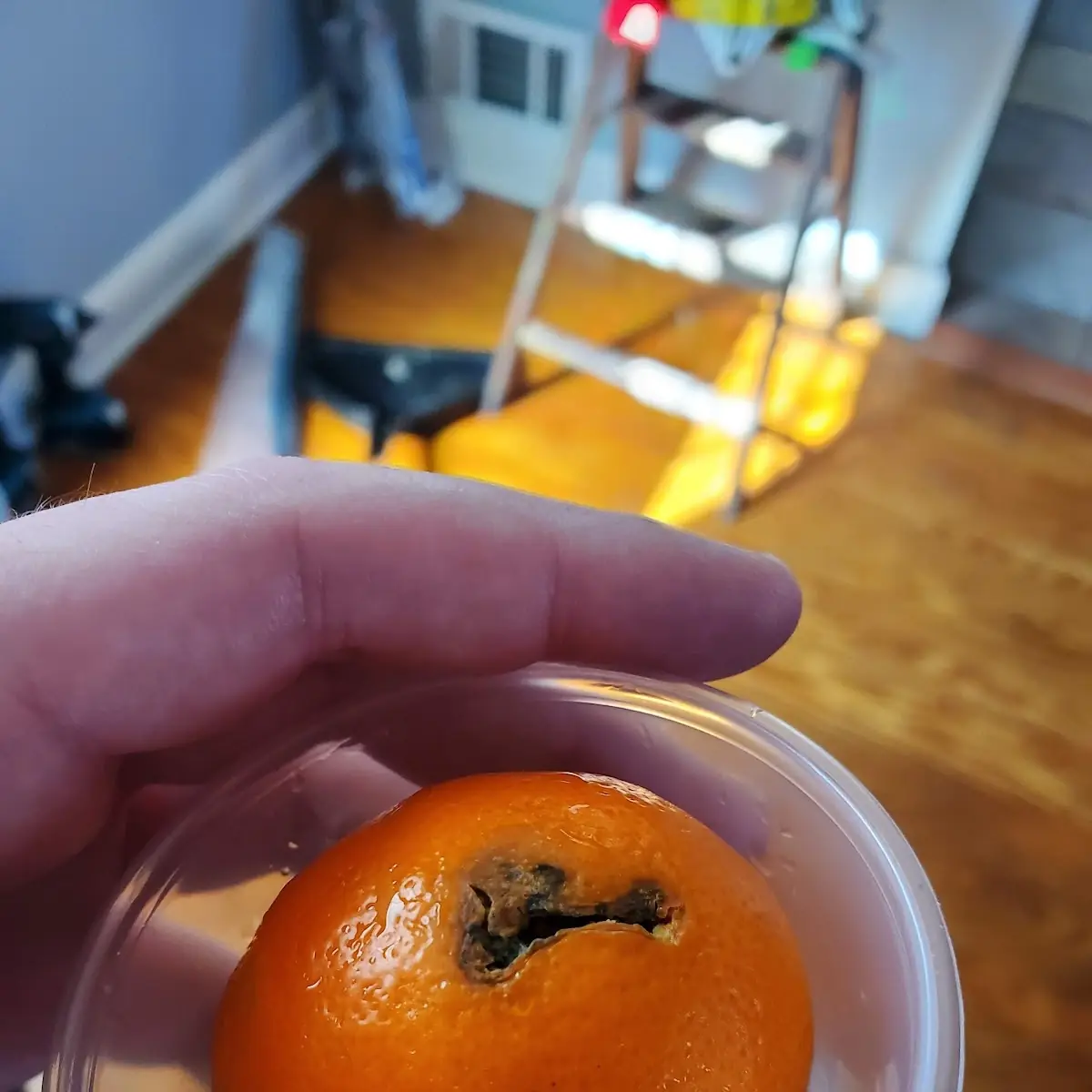 Fresh Fruit with Kids Meal