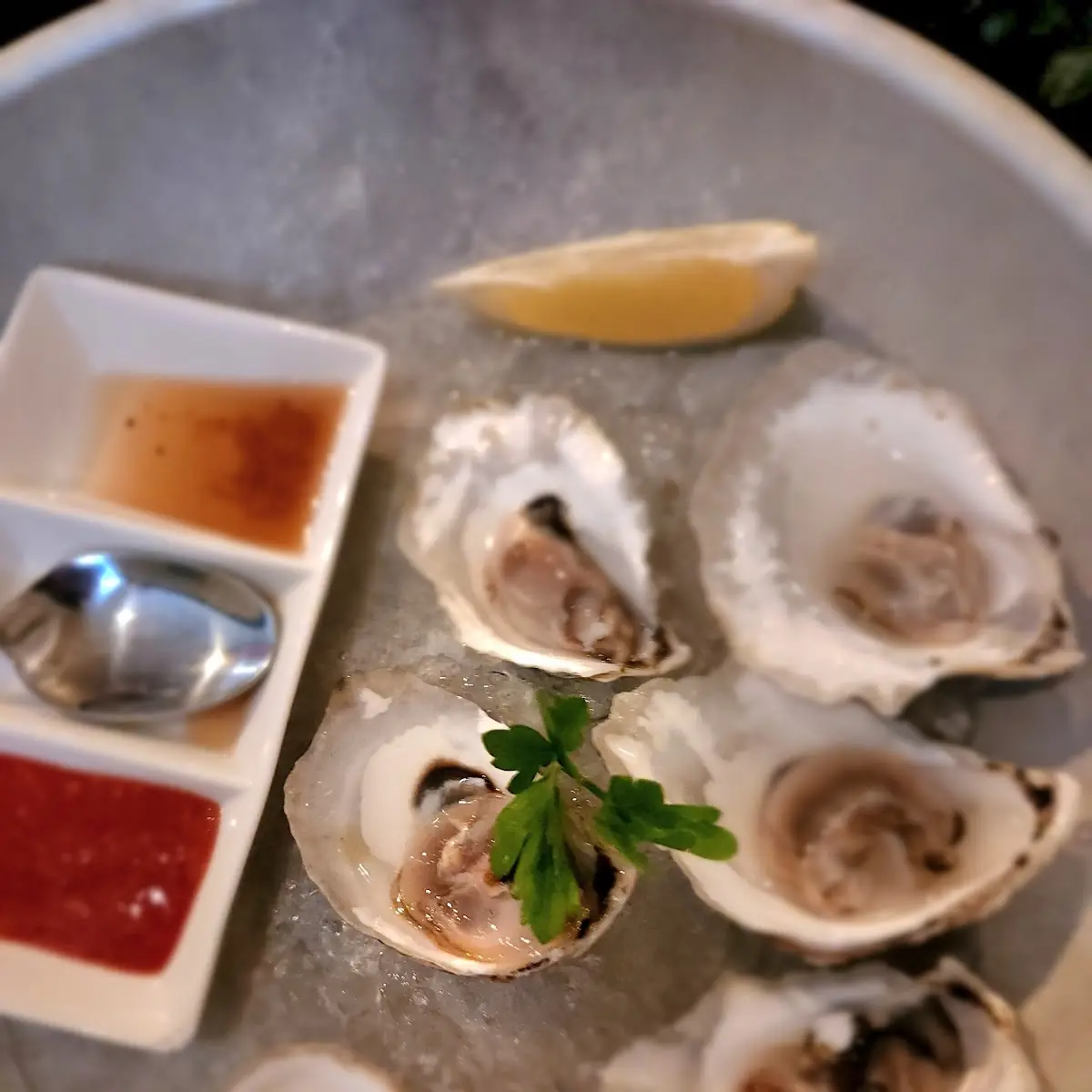 Local Oysters