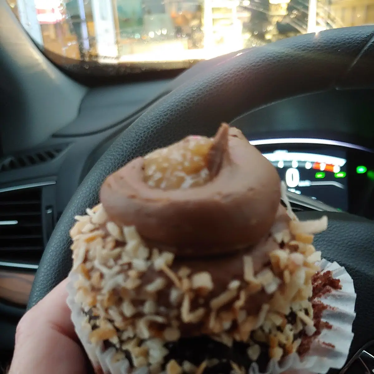 Chocolate Coconut Cupcake